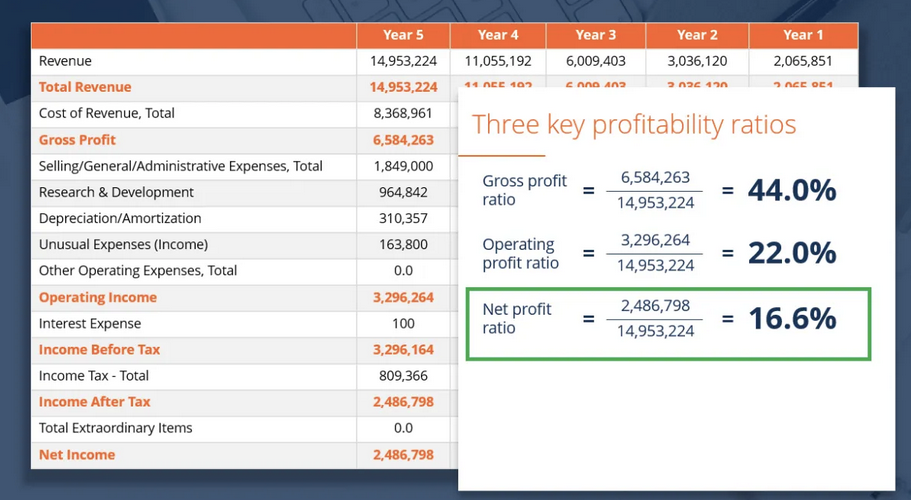 profit margin in business plan