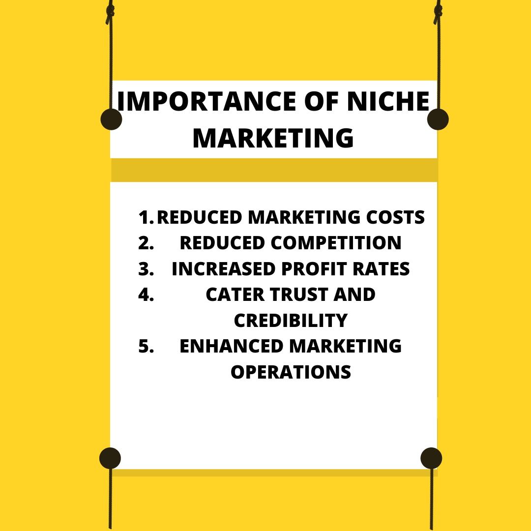 niche marketing research papers