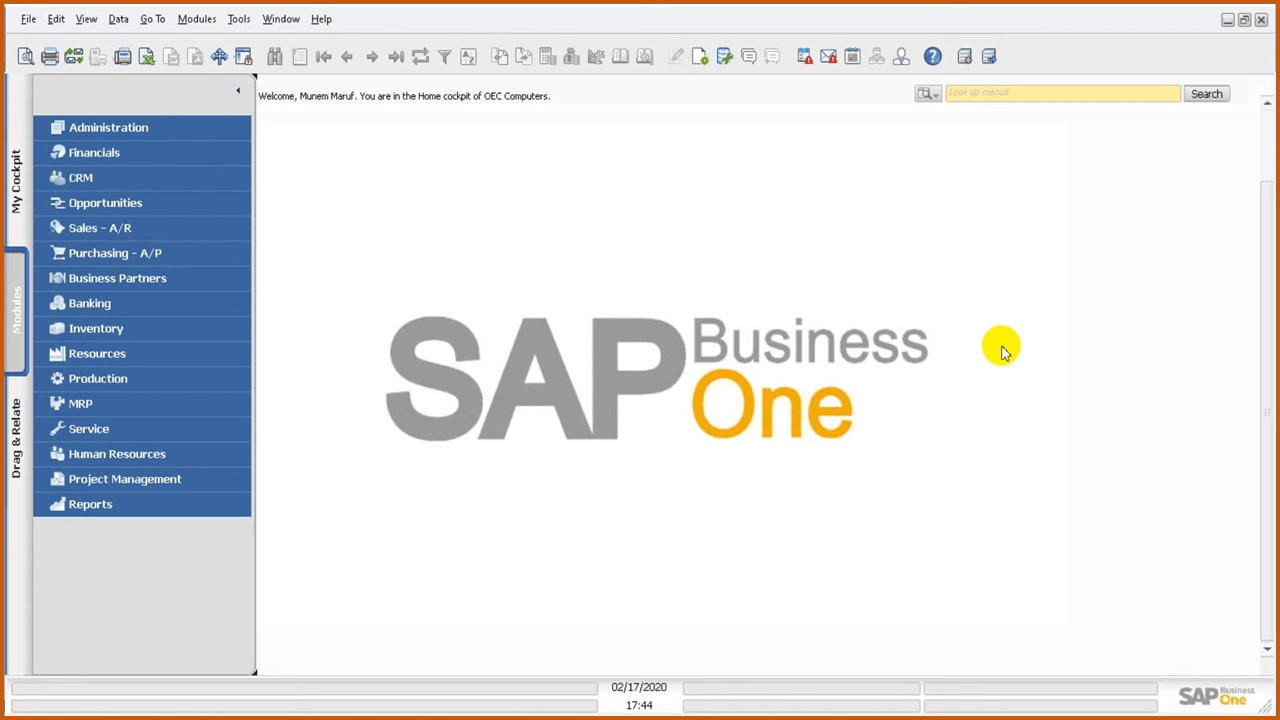 SAP Business One User Interface