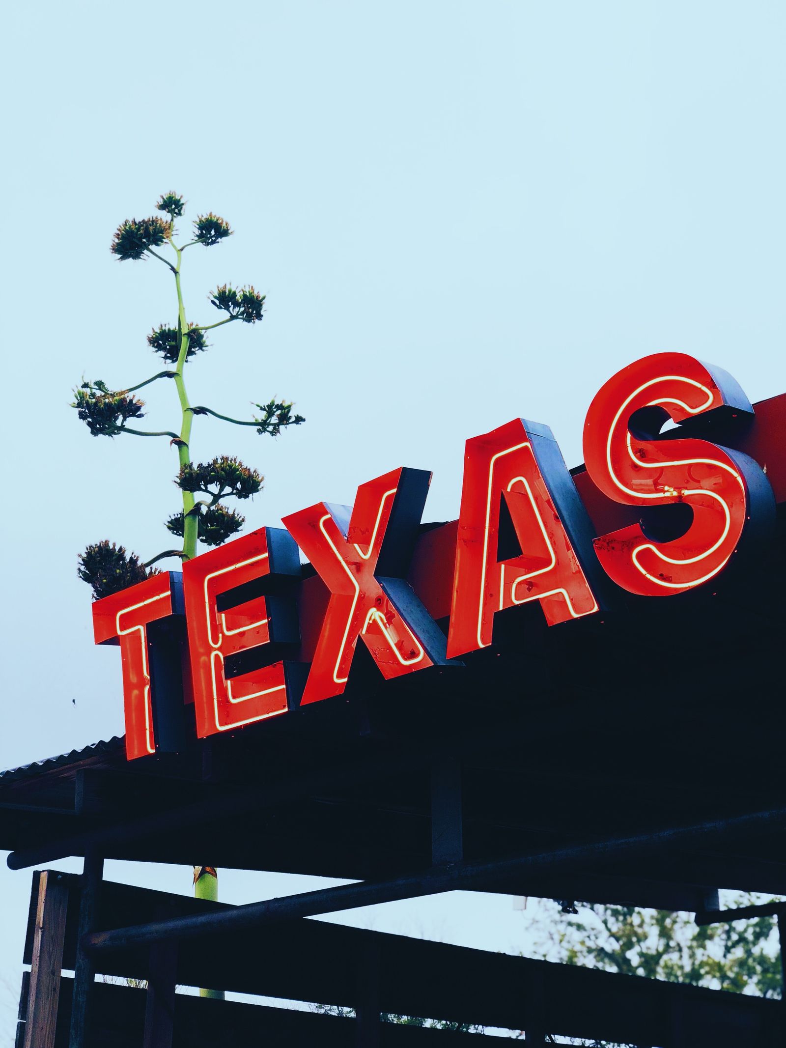 a-complete-guide-to-texas-payroll-taxes