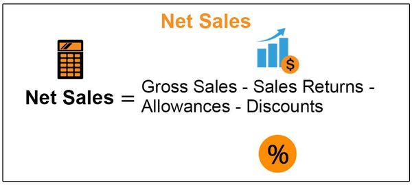 What Is Net Sales - A Complete Guide with Formula & Examples